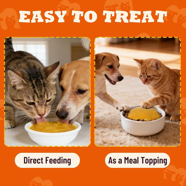 15.5Oz Pumpkin Puree for Cats and Dogs for Digestive Health | Cat and Dog Pumpkin Puree for Healthy Digestion. Natural Fiber Supplement for Dog Food Toppers,Kittens,Puppy Snacks7