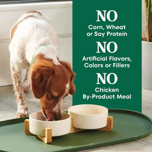 Nutro Natural Choice Small Bites Dry Dog Food, Lamb & Rice, 12 Lb | Non-Gmo, Real Lamb #1 Ingredient, No Corn, Wheat, Soy, Crafted in USA, Supports Energy, Bones, Muscles, Dental Health, Skin7
