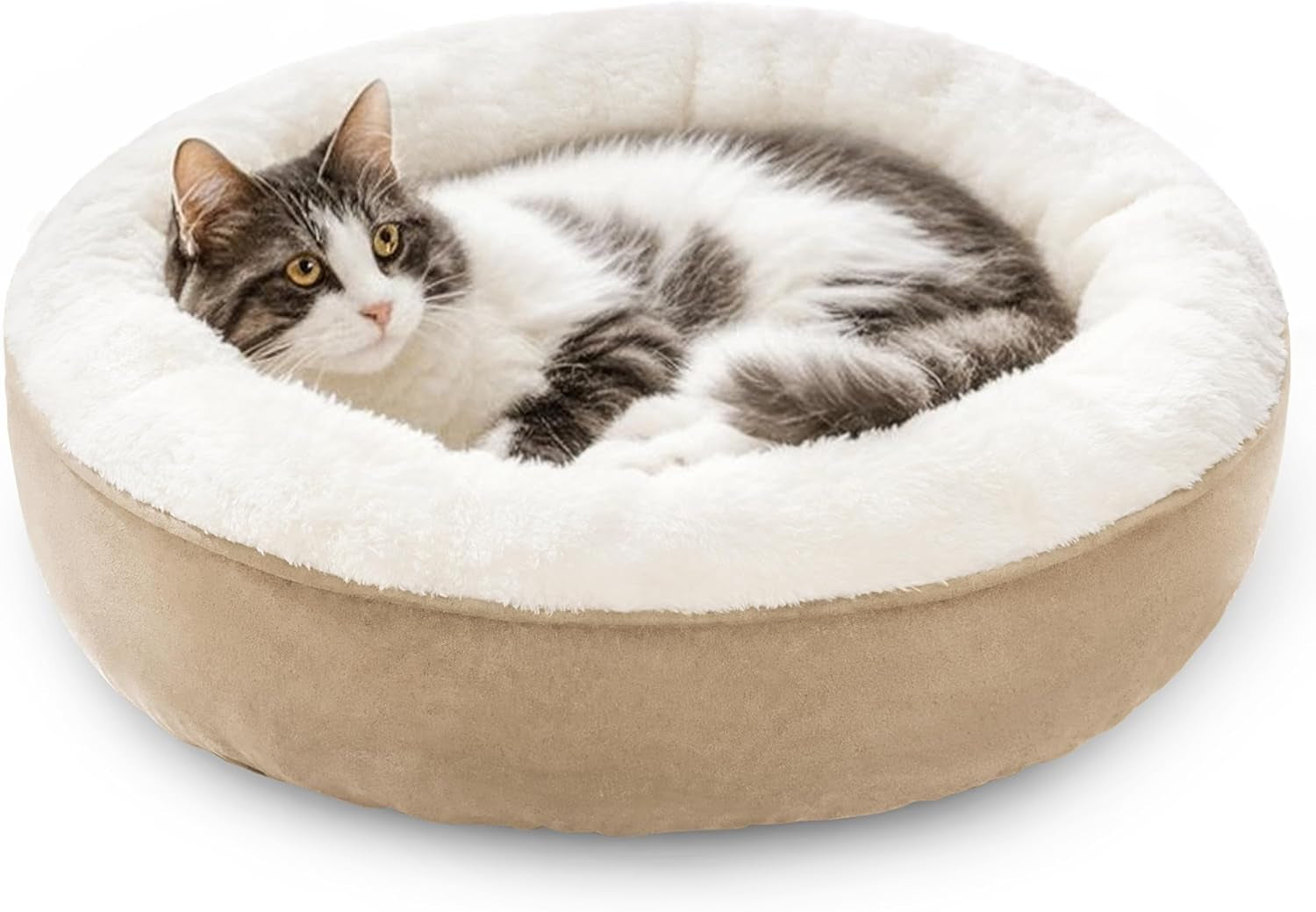 loves-cabin-round-donut-cat-and-dog-cushion-bed-20in-bed-for-cats-or-small-dogs-anti-slip-water-resistant-bottom-super-soft-durable-fabric-pet-beds-washable-luxury-cat-dog-bed-gray