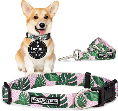 Lucky Love Dog - Easy Click Buckle Dog Collar with Leash Set Combo, Durable & Comfortable for Male & Female Dogs, Pet Collar for Medium Dogs, Secure Fit - Blackbird Combo, Medium72