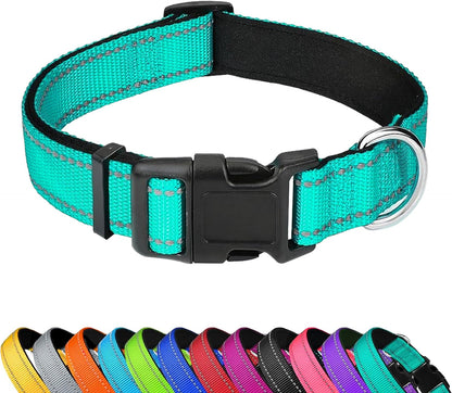 Reflective Dog Collar, Adjustable Soft Neoprene Padded,Teal,M | Breathable Nylon for Medium Dogs,Tear-Resistant Webbing,Chafe‑Free on Walks and Hikes,Metal D-Ring,Night Safety1