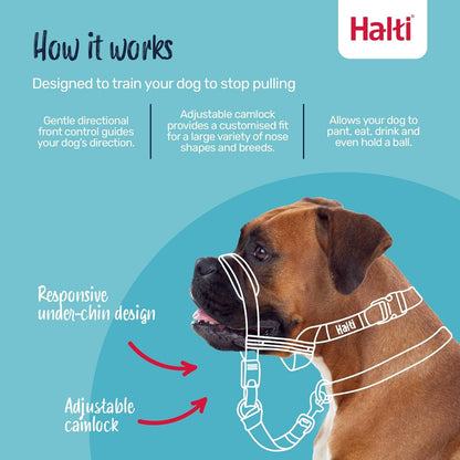 Halti Optifit Headcollar Size Medium & Halti Training Leash Size Large, Black Combination Pack - Stop Your Dog Pulling on the Leash. Adjustable with Padded Nose Band. Suitable for Medium Dogs2