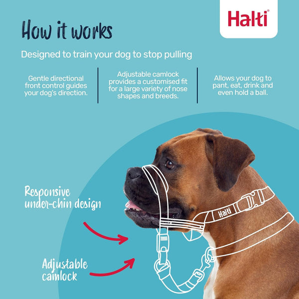 Halti Optifit Headcollar Size Medium & Halti Training Leash Size Large, Black Combination Pack - Stop Your Dog Pulling on the Leash. Adjustable with Padded Nose Band. Suitable for Medium Dogs2