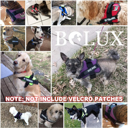 Dog Harness, No-Pull Reflective Dog Vest, Breathable Adjustable Pet Harness with Handle for Outdoor Walking - No More Pulling, Tugging or Choking (Blue, S)7
