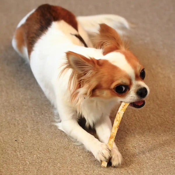 Fieldcrest Farms Nothin' to Hide Twist Stix, Beef Flavor, Easily Digestible, Supports Skin, Coat, Joints & Muscles, for Moderate Chewers under 15Lbs, 50 Pieces12