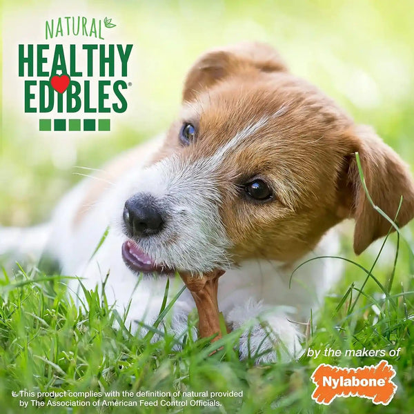 Nylabone Healthy Edibles WILD Natural Dog Chew Treats, Bison Flavor, Small Dogs up to 20 Lbs - Made in USA (16 Count)6