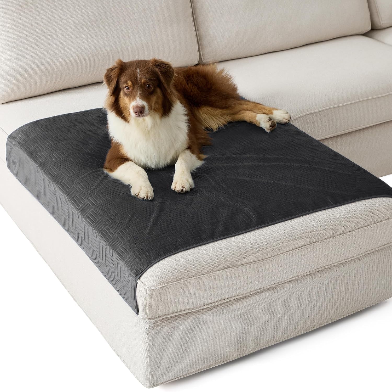 bedsure-waterproof-couch-cover-for-dogs-washable-waterproof-blanket-for-large-dogs-couch-sofa-bed-cozy-lightweight-furniture-protector-for-pet-cat-quick-drying-ash-grey-52x82in