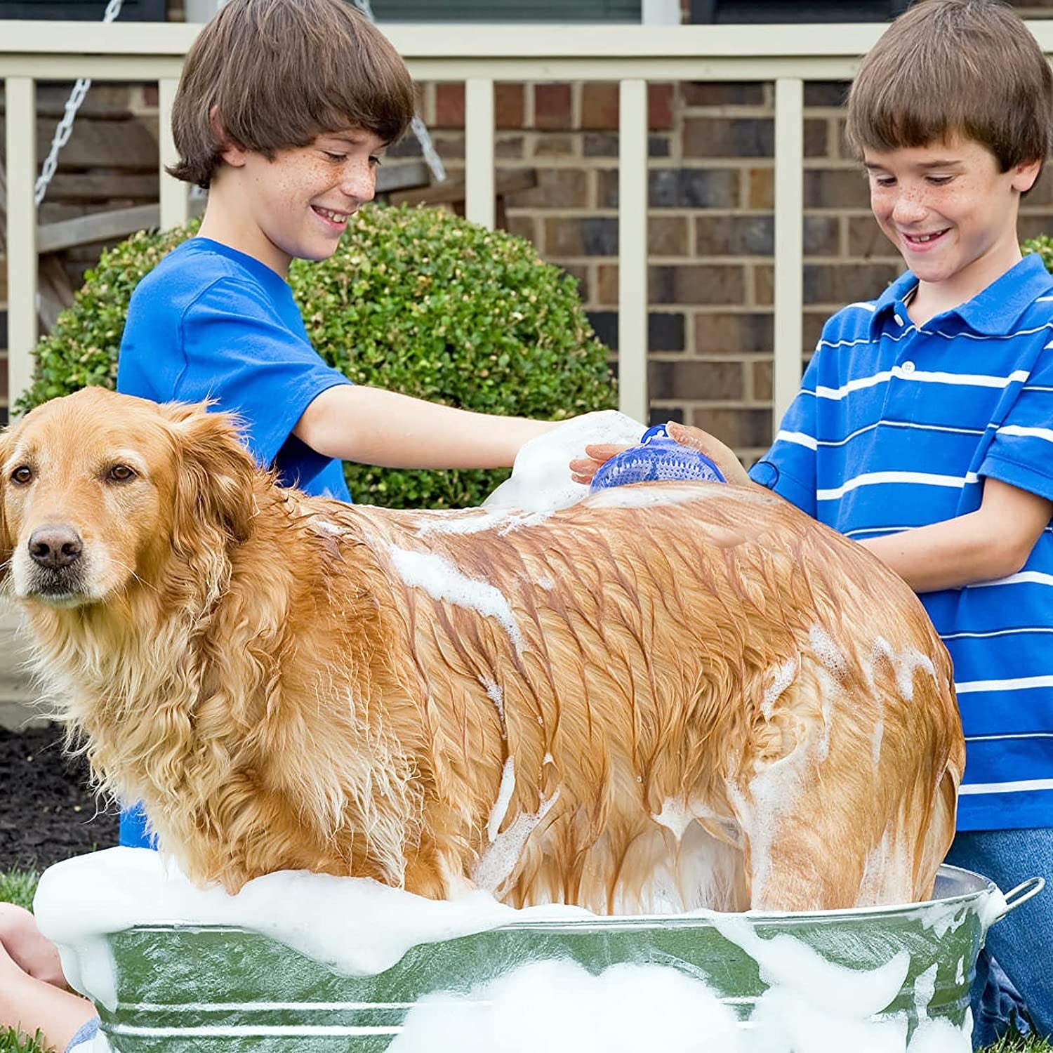 dog-grooming-brush-lilpep-pet-shampoo-bath-brush-soothing-massage-rubber-comb-with-adjustable-ring-handle-for-long-short-haired-dogs-and-cats-blue-green-pack-of-2