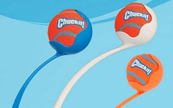 Chuckit! Dog Tennis Ball Dog Toy, Large (3 Inch Diameter) for Dogs 60-100 Lbs, Pack of 210