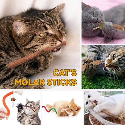 Kyouki Cat Toys Cat Chew Toys, Silvervine Sticks Catnip Rope Toys for Cats Teeth Cleaning, Kitten Dental Care, Kitty for Indoor Cats Increase Appetite,Enhances Oral & Dental Health (21 Pack)2