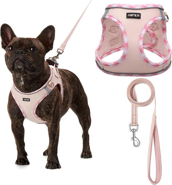 AMTOR Small Dog Harness with Leash Set, No Escape Easy Walk Puppy Harnesses for Training Walking, Step-In Reflective Soft Dogs Vest for XS S Medium Extra-Small Large Sized Dog(Green,S)22