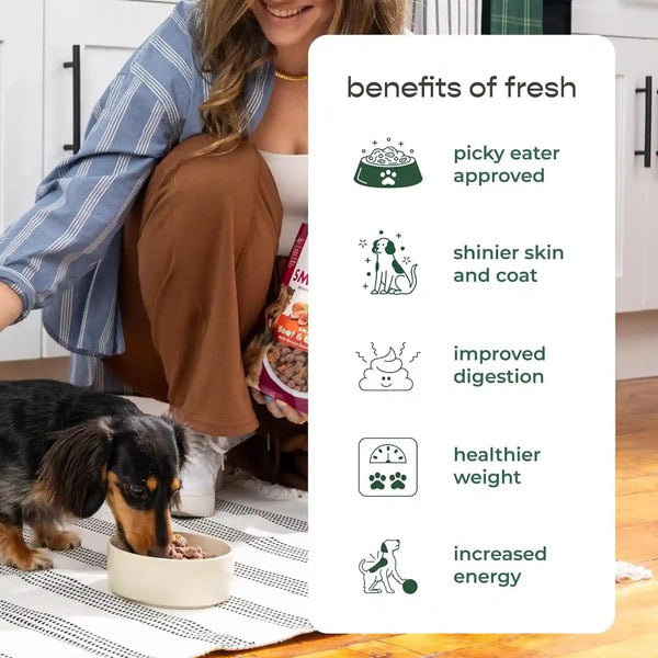 Freshpet Healthy & Natural Food for Small Dogs/Breeds, Fresh Grain Free Chicken Recipe, 1Lb, Yellow (6-27975-01204-5)7