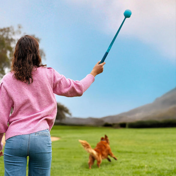 Gosports Pets 24 Inch Dog Ball Launcher - Ergonomic Tennis Ball Thrower for Dogs 20+ Lbs - Includes Tosser and (2) 2.5 Inch Balls for Fetch7