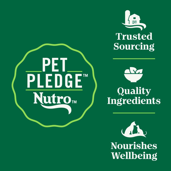 Nutro Wholesome Essentials Sensitive Stomach Dry Cat Food, Chicken, 5 Lb | Real Chicken #1 Ingredient, Easily Digestible, Omega-6 for Skin & Coat, No Corn, Wheat, Soy, No Artificial Additives9