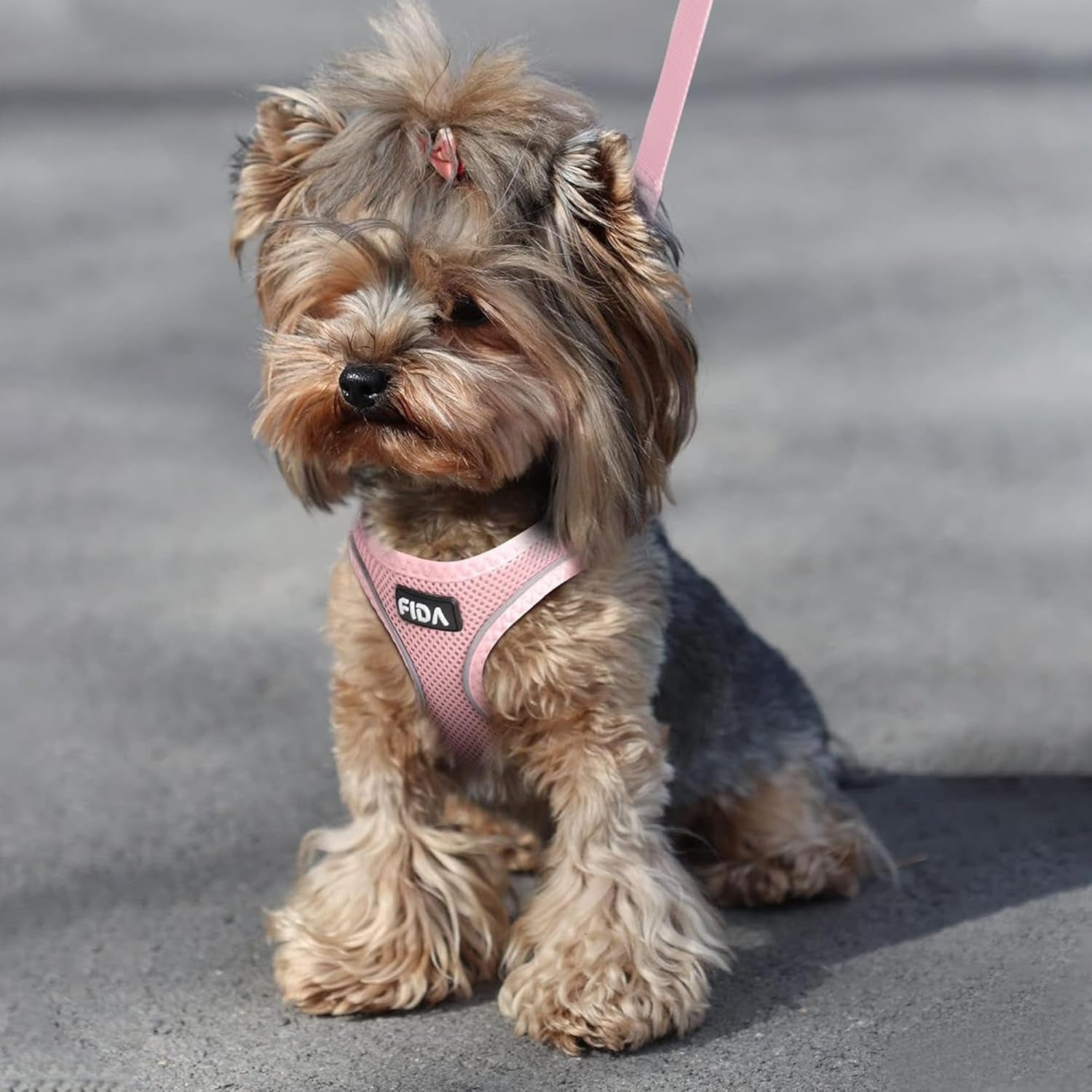 fida-cat-harness-and-leash-set-for-walking-kitten-and-puppy-escape-proof-kitten-harness-with-breathable-lightweight-soft-mesh-adjustable-reflective-step-in-design-xxxs-pink