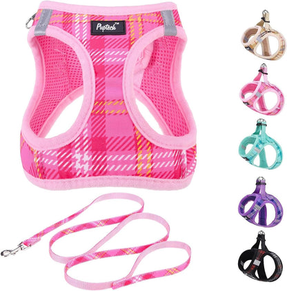 PUPTECK Dog Harness and Leash Set for Small Medium Dogs No Pull Step-In Soft Mesh Puppy Cat Vest Harnesses Reflective at Night, Green S20