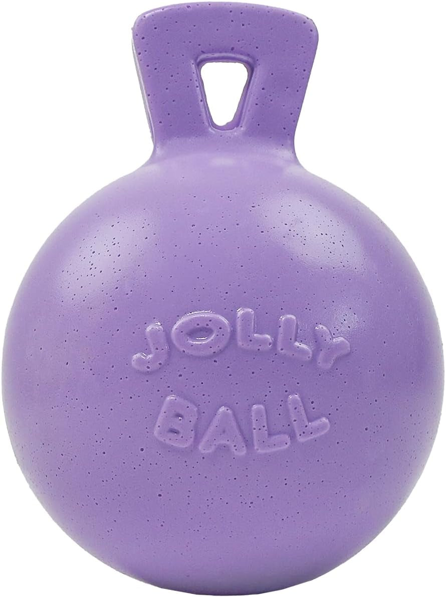 jolly-pets-tug-n-toss-heavy-duty-dog-toy-ball-with-handle-8-inches-large-red-408-rd