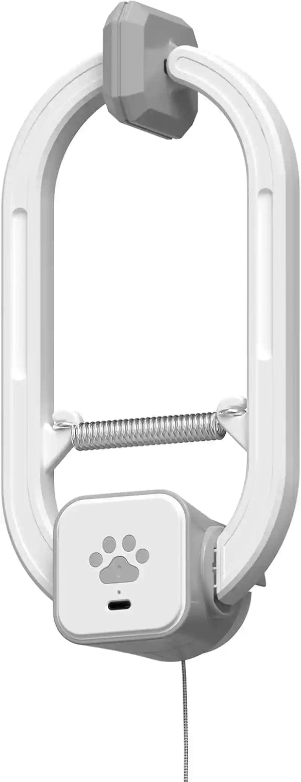 Interactive Cat Toy, Electric Cat Teaser, Door Clip, 2 Motion Modes,Gray | 360° Rotation • Random Jumping • Type-C Rechargeable • Door Clip Design • for Indoor Cats1