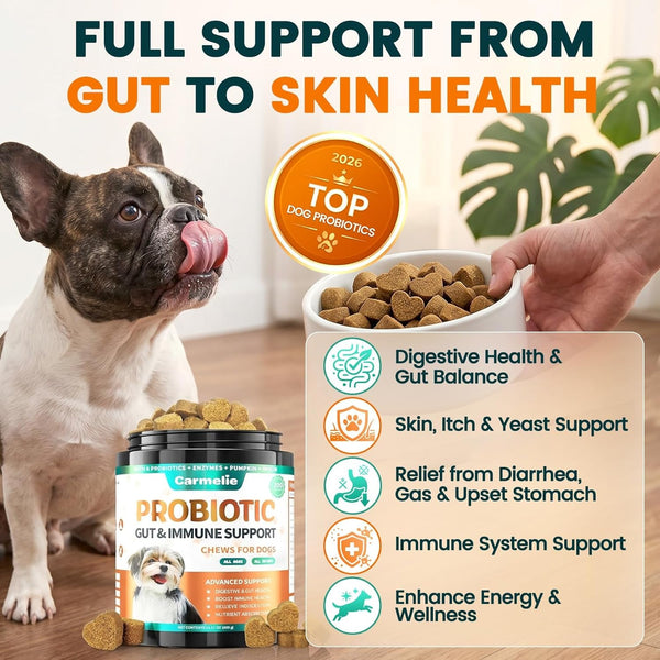 Probiotics for Dogs, Gut Health for Digestive Enzymes, 200 Chews | All Natural Probiotic Blend to Support Yeast, Itchy Skin and Itchy Ears, Allergies, Immunity, Diarrhea & Gas Relief, Chicken2