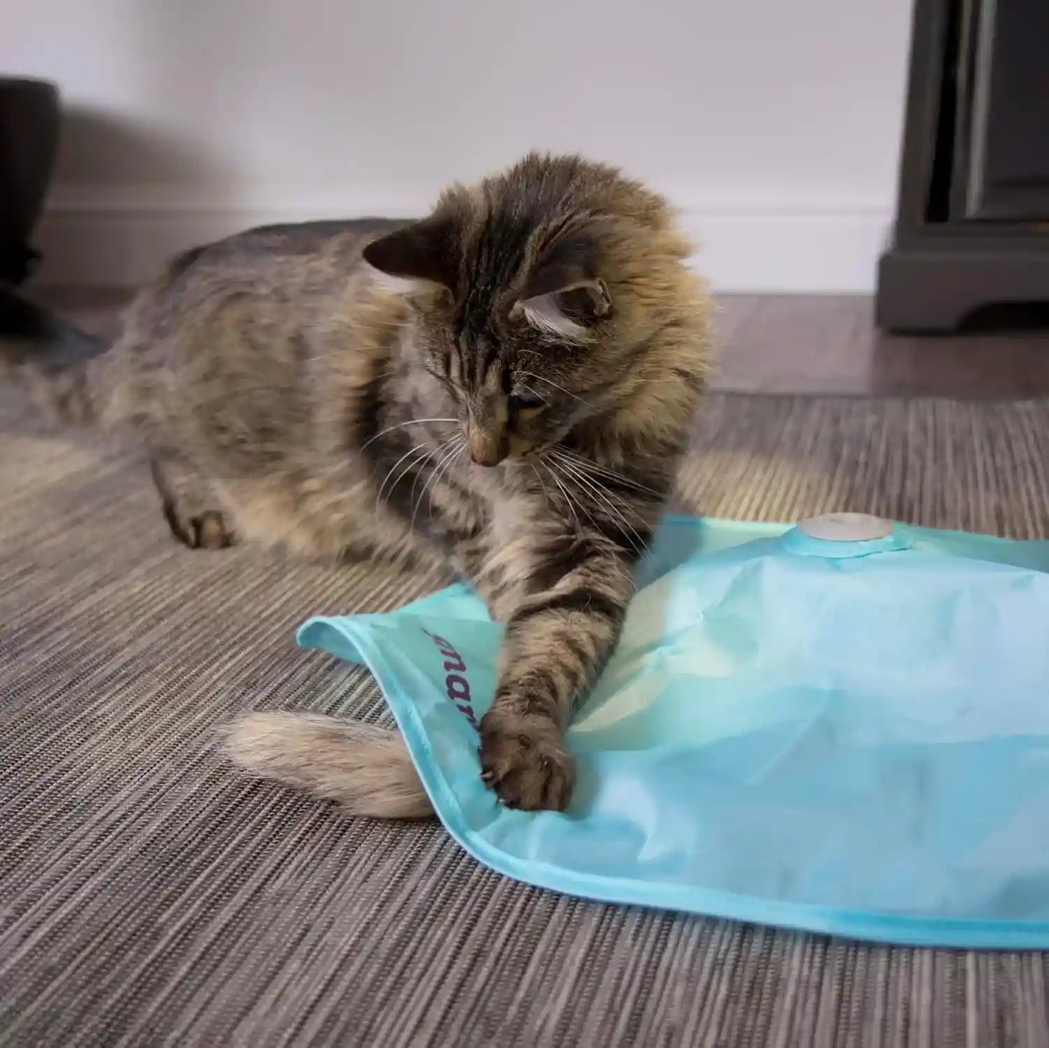 smartykat-electronic-motion-moving-toys-for-cats-kittens-battery-powered-mimics-motion-of-real-prey-fun-interactive-play-multiple-styles
