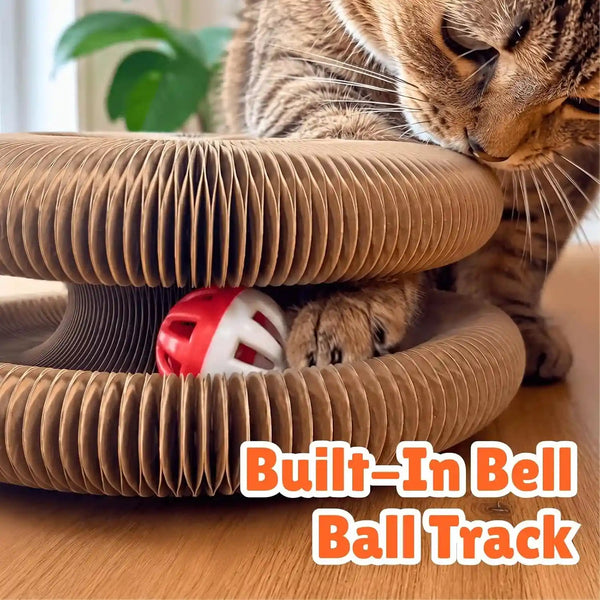 KITTY KURLZ Interactive Cat Toy & Cardboard Cat Scratcher | Collapsible Ball Track with Bell, for Indoor Cats, Reversible Scratch Ring, Play, Chase and Lounge7