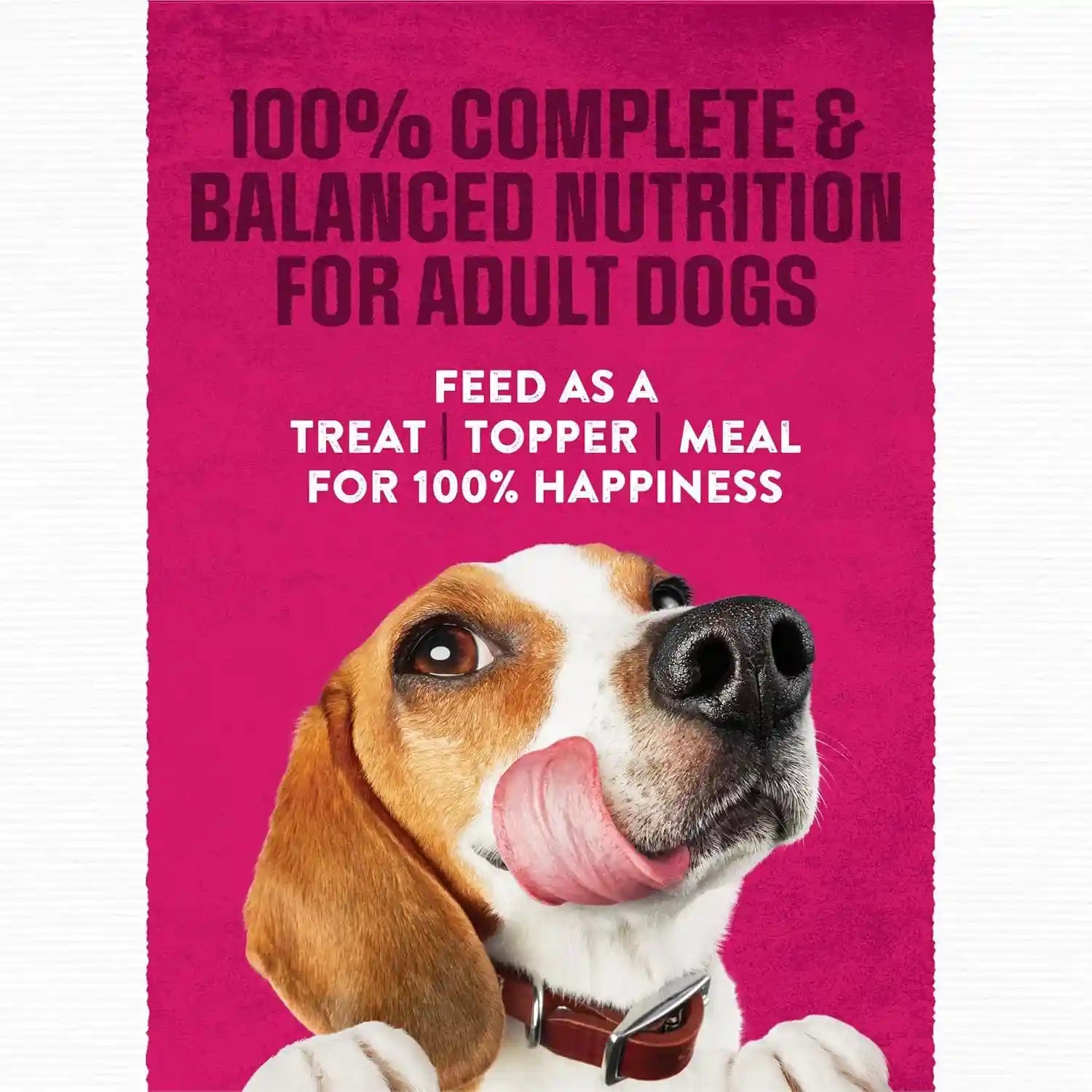 purina-moist-and-meaty-steak-flavor-soft-dog-food-pouches-36-ct-pouch
