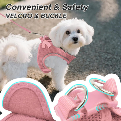 Small Dog Harness and Leash Set Breathable Step-In Puppy Cat Harness,Xs | Reflective for Safe Easy Walking,Soft Light Puppy Vest,Escape Proof,No Pull Harness for Dogs,All Weather Air Mesh Harness3
