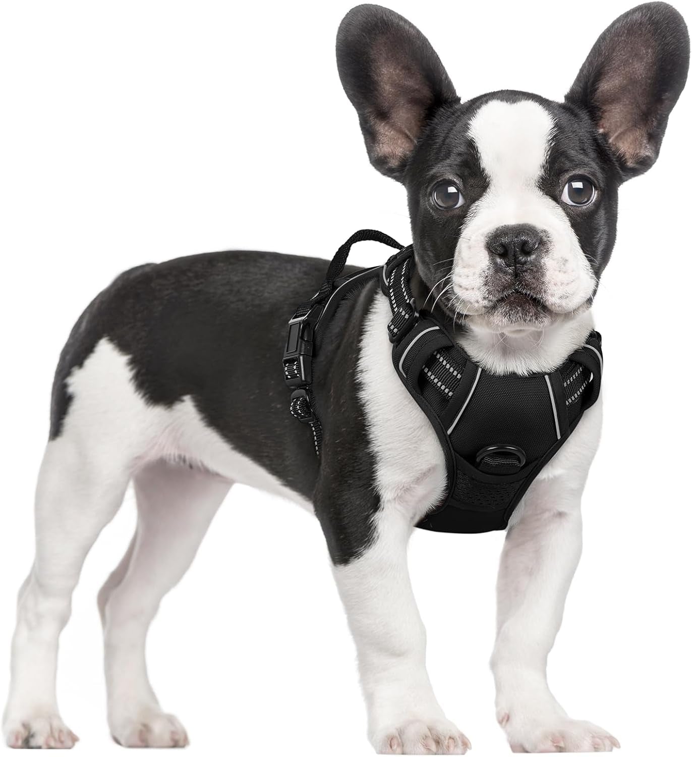 rabbitgoo-dog-harness-no-pull-for-large-dogs-with-2-leash-clips-pet-vest-no-choke-with-handle-adjustable-soft-padded-reflective-easy-control-for-walking-black-large