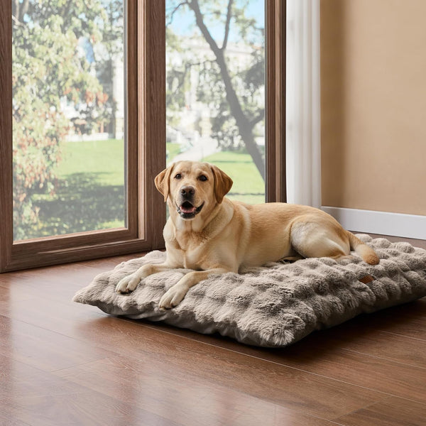 WDCOZY Fluffy Dog Crate Beds for Large Dog, Plush Faux Fur Kennel Pad with Removal Washable Cover, Soft Pet Mat for Sleeping & Ease Anxiety, Anti-Slip Bottom for Pet up to 90 Lbs, 41"X27", Beige1