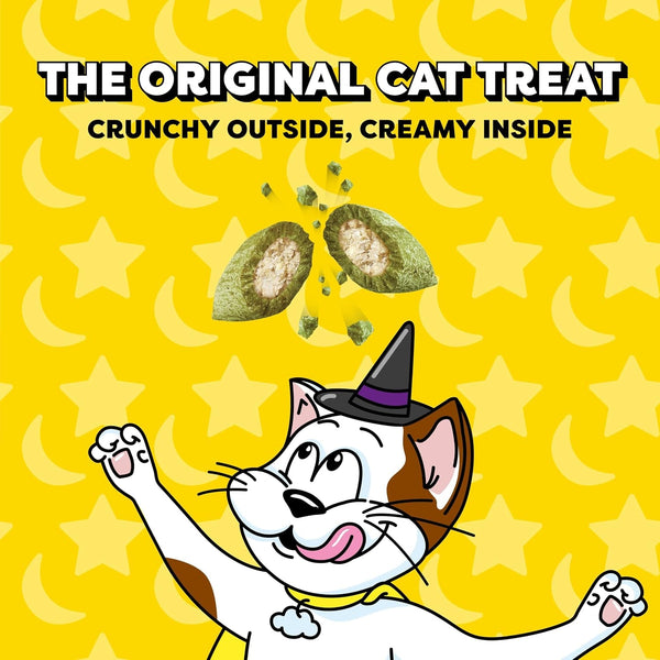 Temptations Classic Crunchy and Soft Cat Treats, Creepy Catnip, 16 Oz | under 2 Calories per Treat, 100% Complete & Balanced for Adult Cats, Resealable Stay-Fresh Tub, Use as Snack, Meal, or Topper2