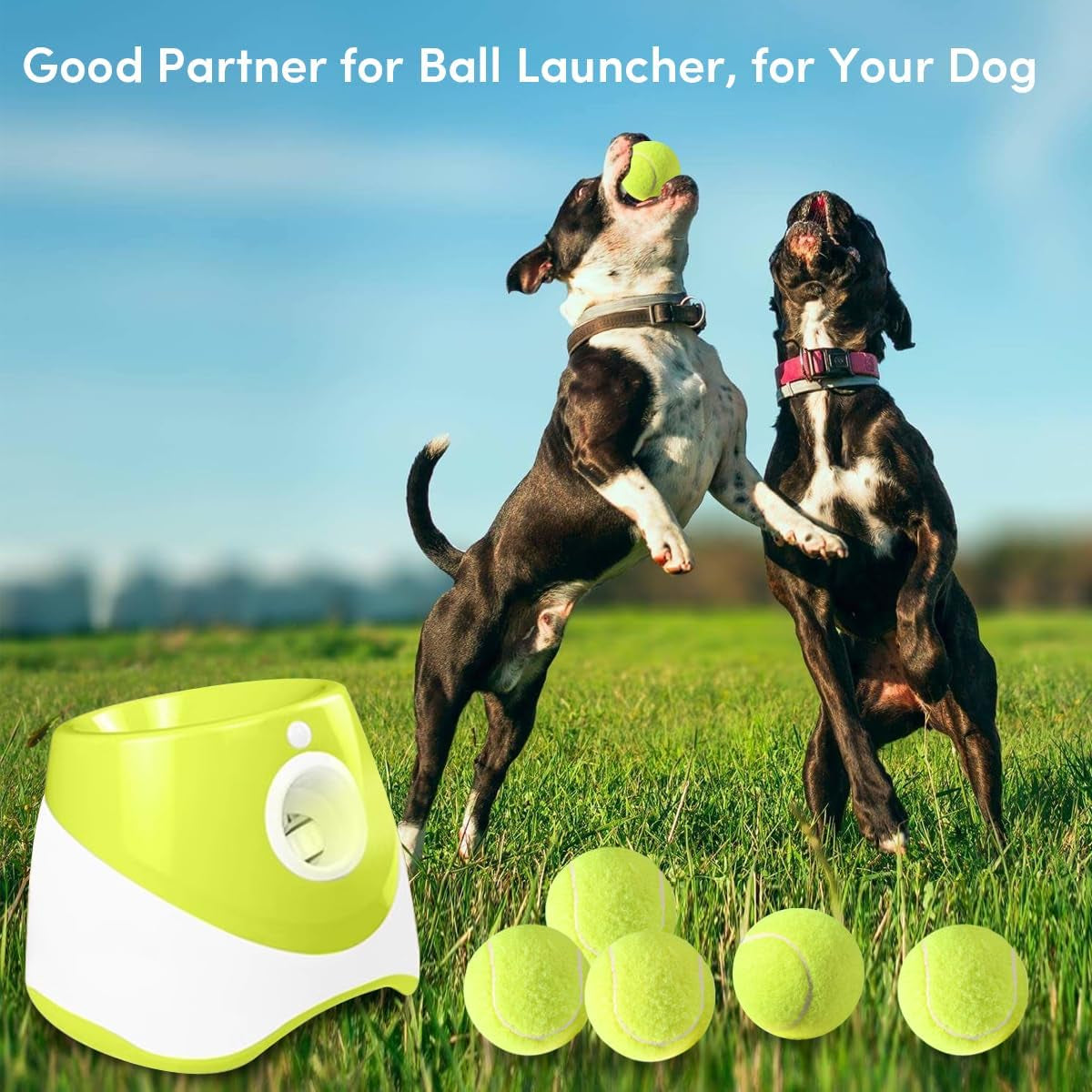 ziyize-mini-tennis-balls-6-pack-2-inch-dog-tennis-balls-easy-catching-pet-playing-ball-for-2-inch-dog-ball-launcher