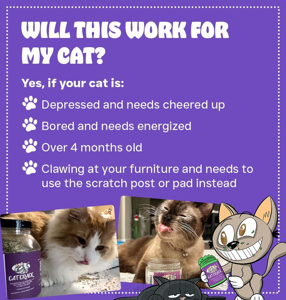 cat-crack-catnip-zoomie-inducing-cat-nip-100-natural-north-american-made-100-natural-safe-non-addictive-catnip-treats-used-to-supplement-cat-nip-toys-spray-accessories-1-cup