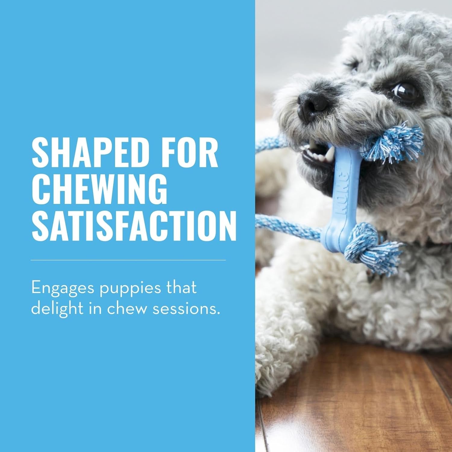 kong-puppy-goodie-bone-with-rope-natural-rubber-for-xs-puppies-blue-kong-natural-rubber-bone-with-a-cotton-rope-for-teeth-cleaning-engaging-chew-play-for-growing-teething-puppies