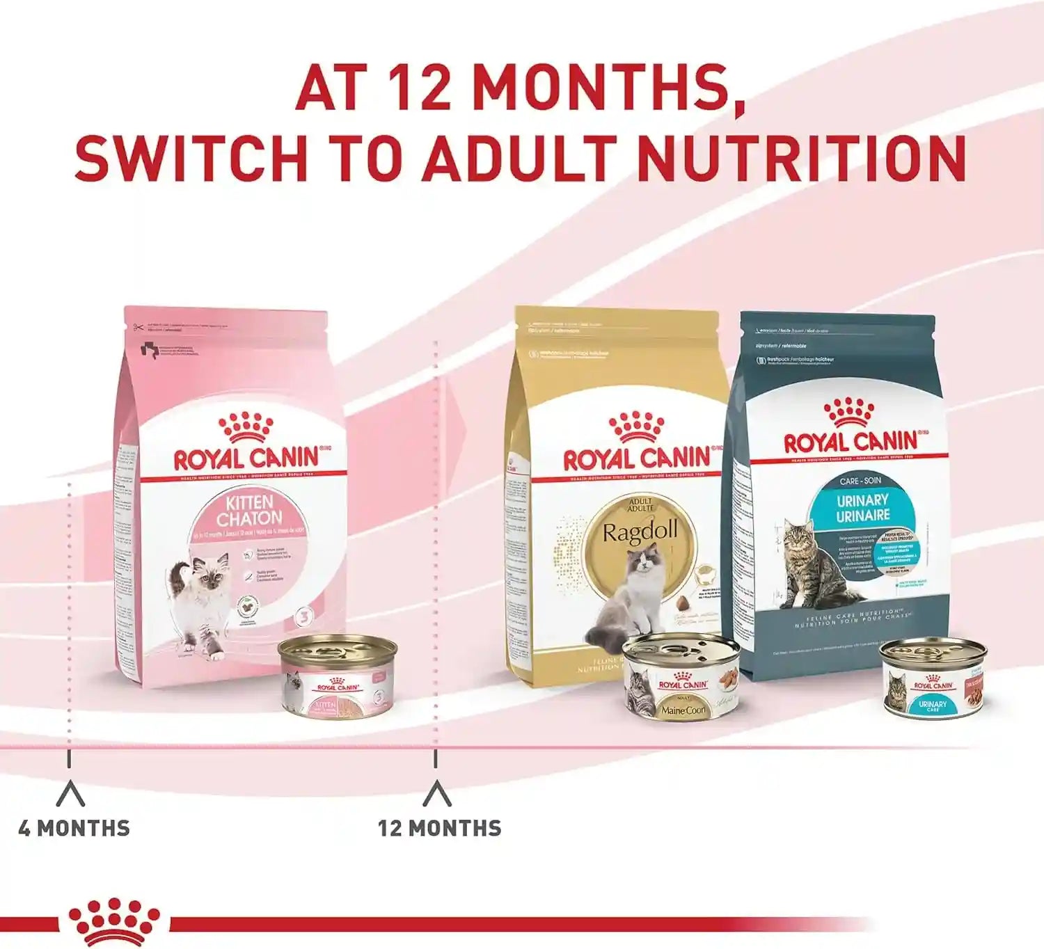 royal-canin-feline-health-nutrition-kitten-loaf-in-sauce-cat-food-3-oz-pack-of-24