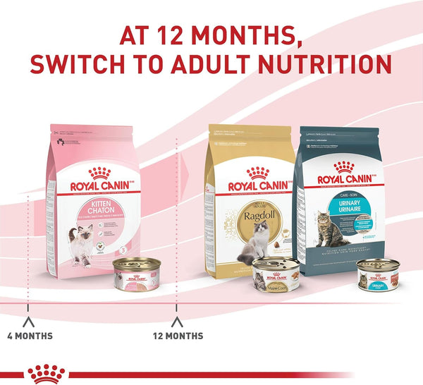 ROYAL CANIN Feline Health Nutrition Kitten Loaf in Sauce Cat Food, 3 Oz (Pack of 24)2