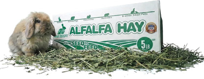 High Desert Alfalfa Hay, Protein Rich Soft Leaf Food for Young Growing Animals, Natural Rabbit Food and Guinea Pig Hay, Supports Digestive Health, Small Pet Supplies, Fresh Hand Packed 5 Lb Box | Protein Rich Soft Leaf Forage, Ideal for Growing Kits and Nursing Mothers, Great Calcium Source, Hand Packed, Low Dust1