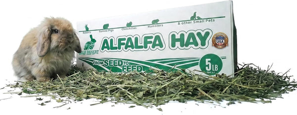 High Desert Alfalfa Hay, Protein Rich Soft Leaf Food for Young Growing Animals, Natural Rabbit Food and Guinea Pig Hay, Supports Digestive Health, Small Pet Supplies, Fresh Hand Packed 5 Lb Box | Protein Rich Soft Leaf Forage, Ideal for Growing Kits and Nursing Mothers, Great Calcium Source, Hand Packed, Low Dust1