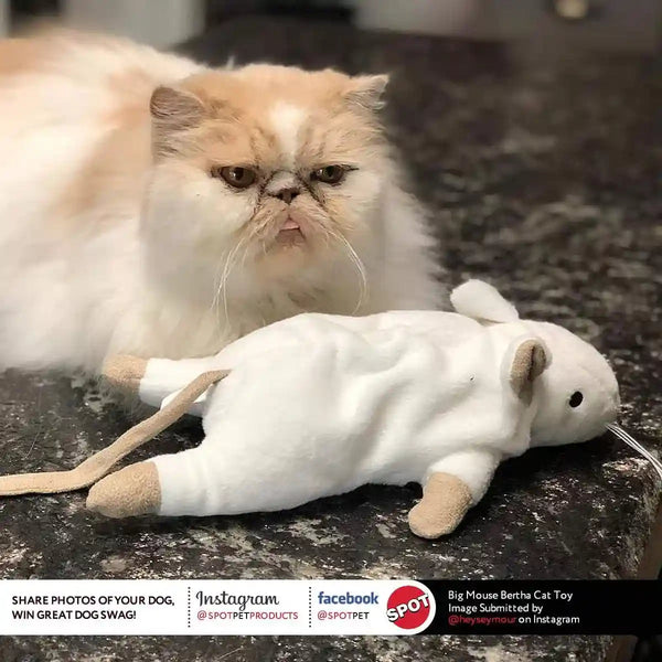 SPOT Big Mouse Bertha Cat Toy with Catnip – Lifelike Plush Mouse, Crinkle Sound, Large 7In Size, for Cuddling, Chasing, Playing – Assorted Colors8