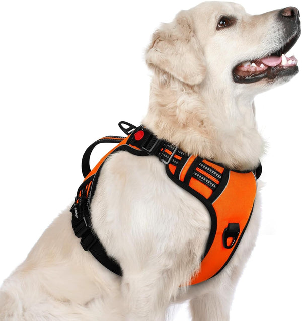 Rabbitgoo Large Dog Harness, Easy Wear with 3 Buckles and Lift Handle | No Pull with Front Clip for Walking, Adjustable Soft Padded, Reflective, Easy Control, Pink, Large10