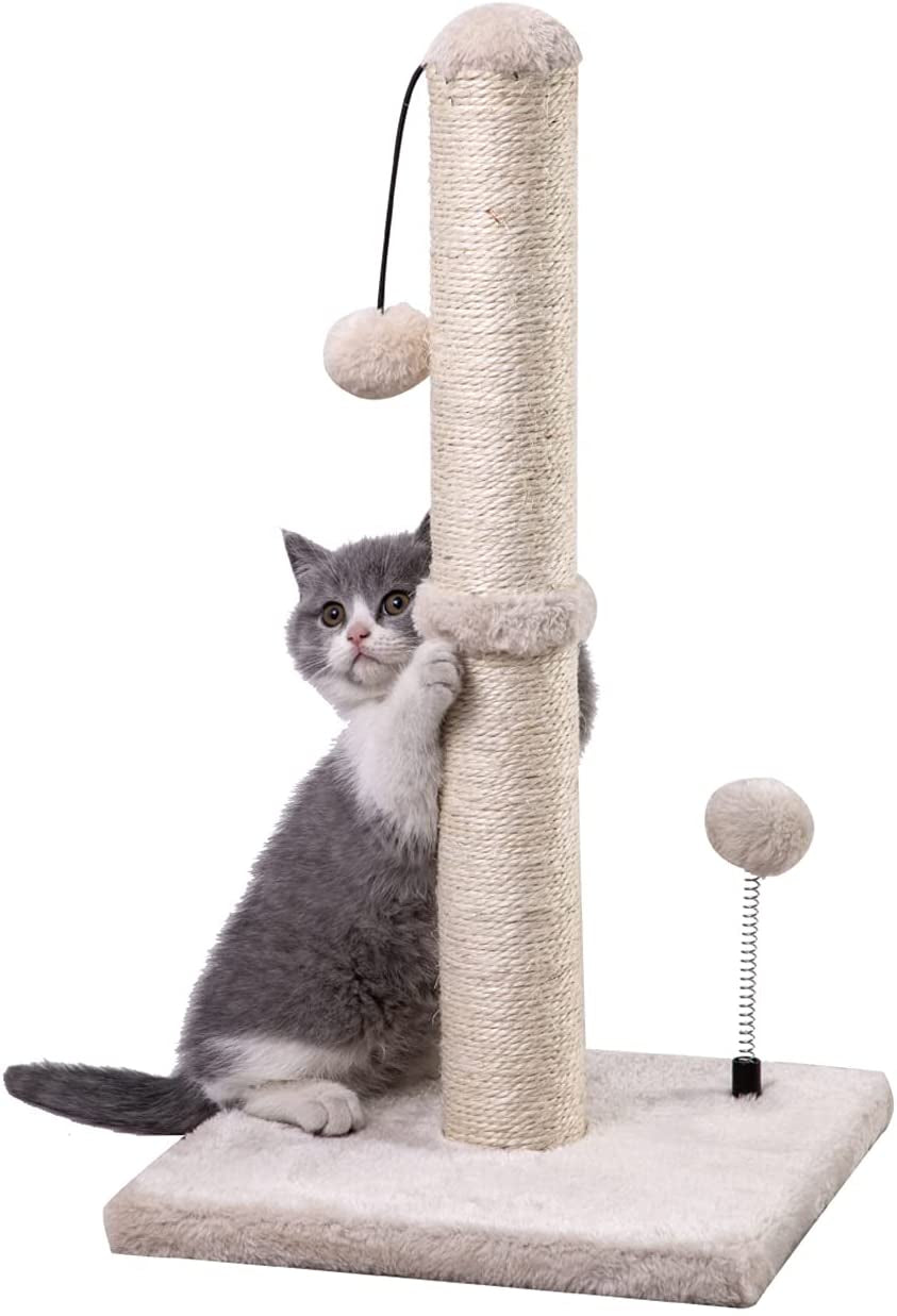 mecool-cat-scratching-post-premium-basics-kitten-scratcher-sisal-scratch-posts-with-hanging-ball-22in-for-kittens-or-smaller-cats-22-inches-for-kitten-beige