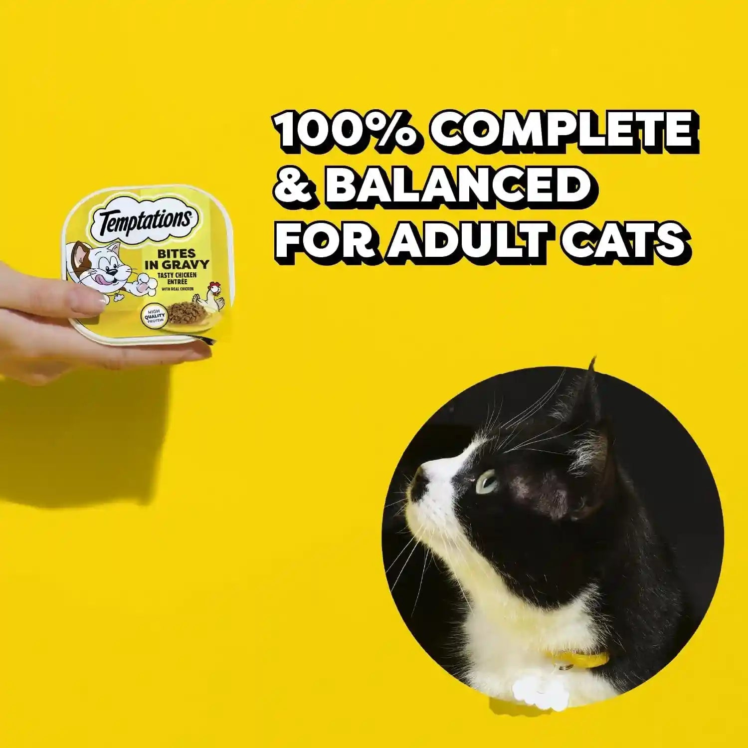 temptations-bites-in-gravy-wet-cat-food-variety-pack-3-5-oz-36-count-chicken-seafood-medley-backyard-cookout-catnip-fever-no-artificial-flavors-3-5-oz-trays-100-complete-balanced