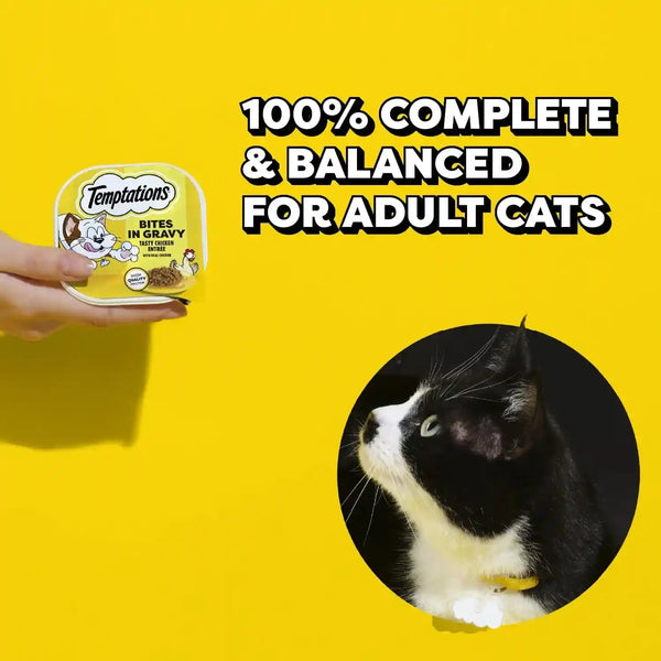 Temptations Bites in Gravy Wet Cat Food, Variety Pack, 3.5 Oz, 36 Count | Chicken, Seafood Medley, Backyard Cookout, Catnip Fever, No Artificial Flavors, 3.5 Oz. Trays, 100% Complete & Balanced2