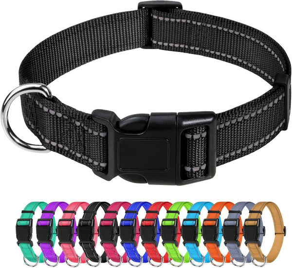 Tagme Small Dog Collar, Reflective Puppy Collar, Sky Blue, 3/8" Width | Lightweight, Nylon Collar for Puppies, Chihuahua, Yorkie & Teacup Dogs 5-15 Lbs, Reflective for Evening Walks, 12 Colors38