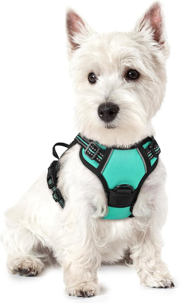Rabbitgoo Dog Harness, No Pull for Large Dogs with 2 Leash Clips, Pet Vest | No Choke with Handle, Adjustable Soft Padded, Reflective, Easy Control for Walking, Black, Large102