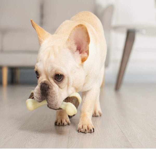 Dog Chew Toys for Aggressive Chewers Large Breed,2 Pack Beef Flavor Indestructible Dog Teething Chew Toys Bones for Large/Medium/Small Puppies,Pet Toy with Nylon6