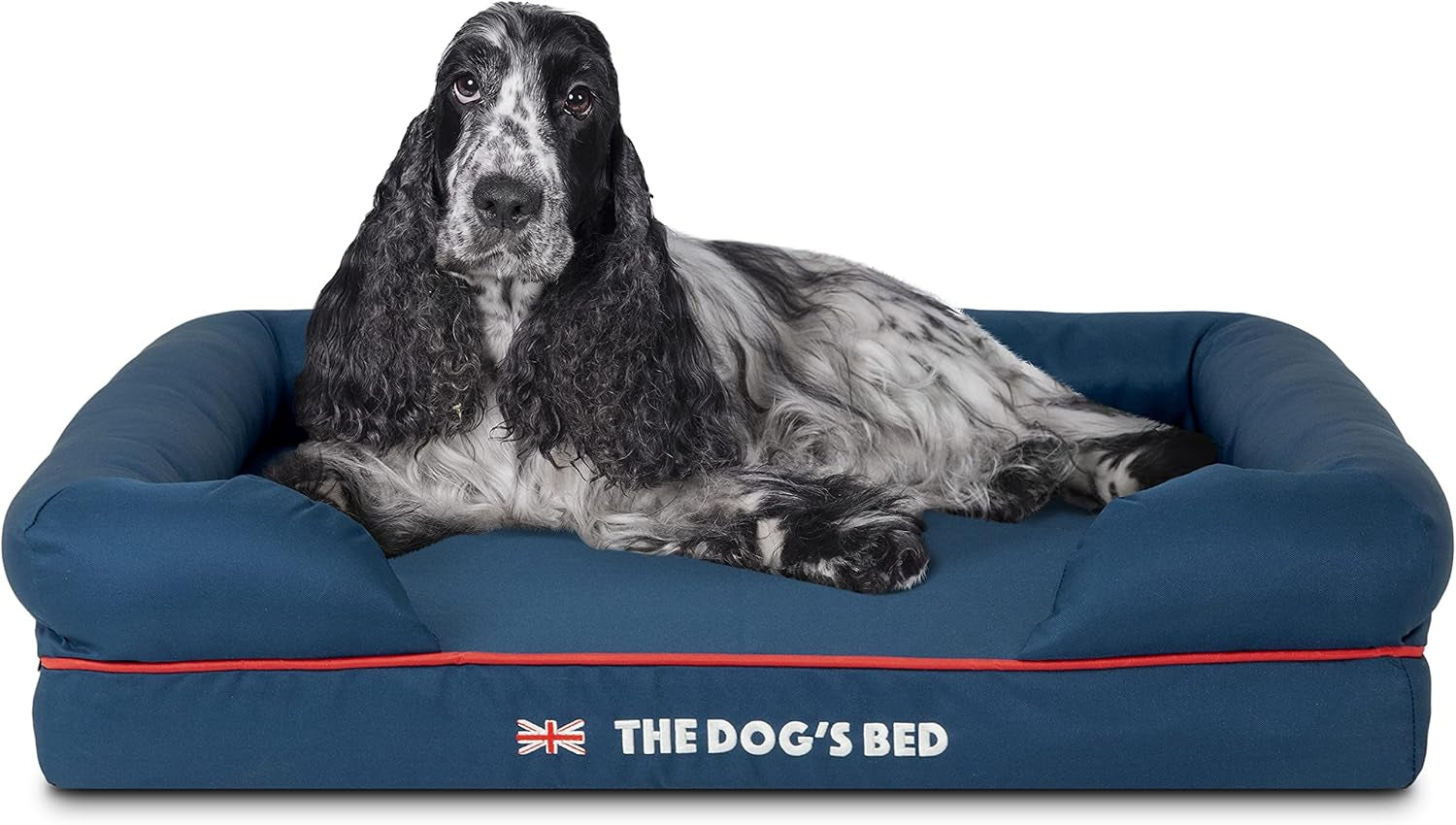 the-dog-s-bed-orthopedic-memory-foam-dog-bed-with-bolsters-for-large-dogs-high-density-support-mattress-low-front-entry-removable-washable-cover-oxford-fabric-blue-with-dark-red-trim-large