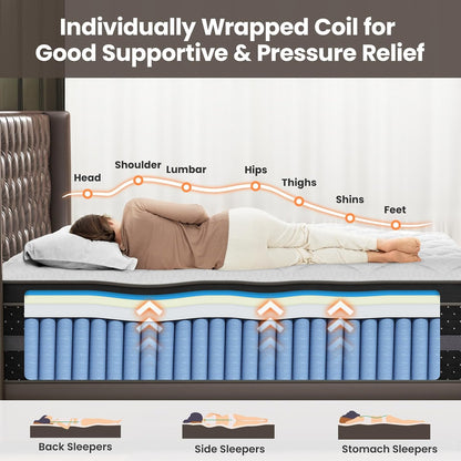 Medium Firm Queen Size Mattress, 14 Inch Hybrid Mattress in a Box with Zoned Lumbar Support for Side Sleepers, Pressure Relief, Fiberglass Free, 365 Nights Trial, 10 Years Warranty3
