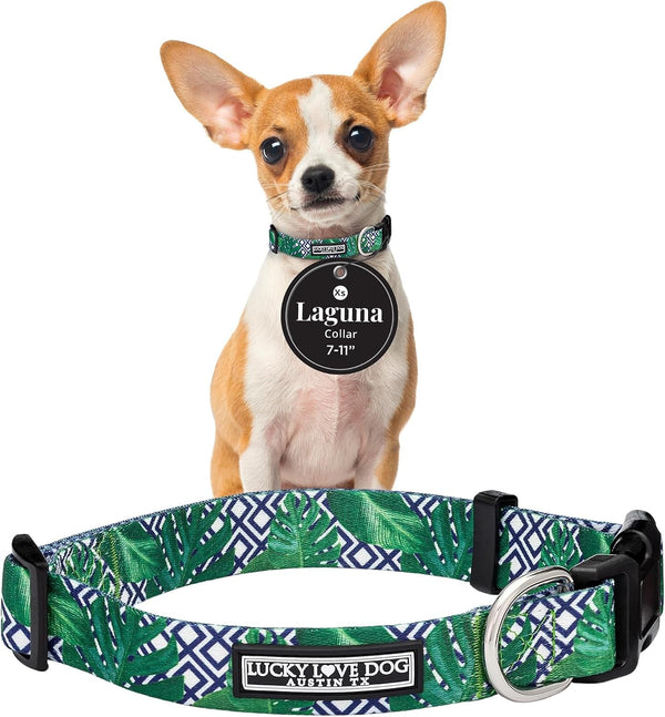Lucky Love Dog - Easy Click Buckle Dog Collar with Leash Set Combo, Durable & Comfortable for Male & Female Dogs, Pet Collar for Medium Dogs, Secure Fit - Blackbird Combo, Medium80