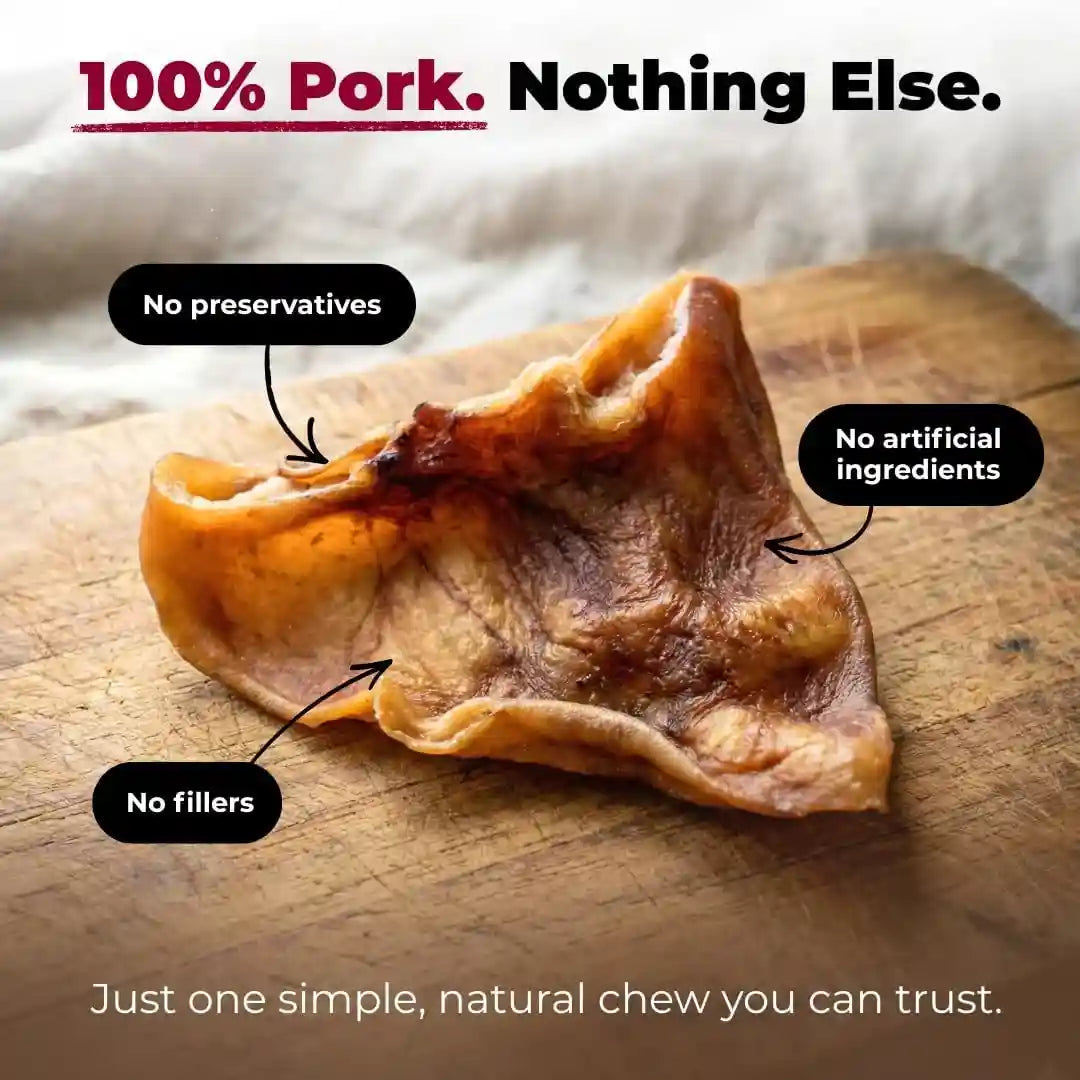 best-pet-supplies-gigabite-whole-pig-ears-for-dogs-25-count-single-ingredient-all-natural-pig-ears-supports-dental-health-perfect-for-training-slow-roasted-chews