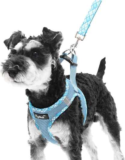 PUPTECK Dog Harness and Leash Set for Small Medium Dogs No Pull Step-In Soft Mesh Puppy Cat Vest Harnesses Reflective at Night, Green S33